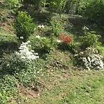 Il Castello Del Ghiro Bed & Breakfast Manta