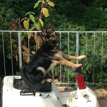 Il Castello Del Ghiro Rent E-bike Manta