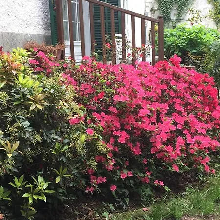 Il Castello Del Ghiro Bed & Breakfast *