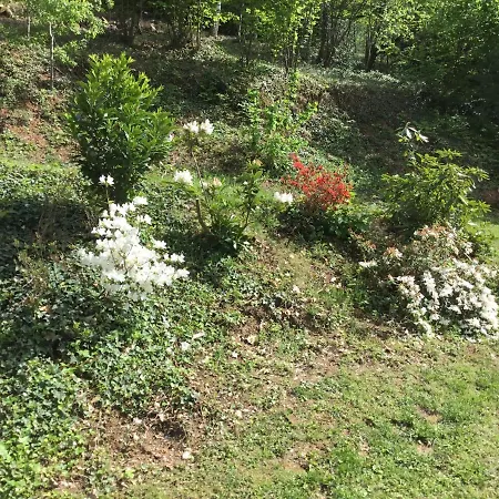 Il Castello Del Ghiro Bed & Breakfast Manta