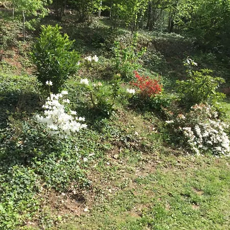 Il Castello Del Ghiro Frühstückspension Manta