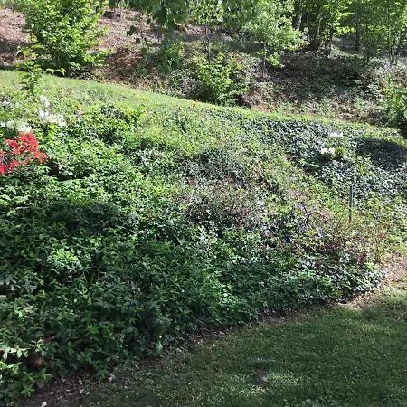 Bed & Breakfast Il Castello Del Ghiro Rent E-bike 3*