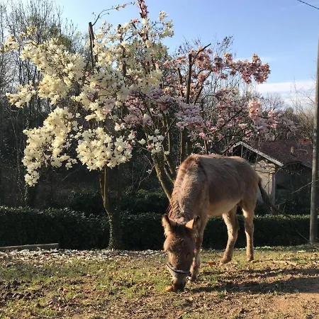 Il Castello Del Ghiro Rent E-bike Couette-café