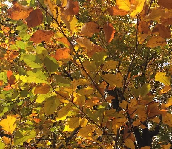 Bed & Breakfast Il Castello Del Ghiro Manta