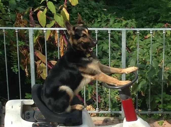 Il Castello Del Ghiro Manta