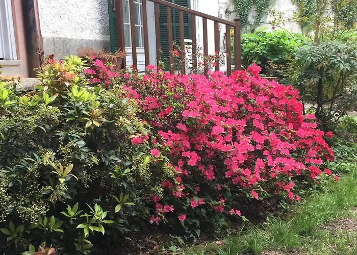 Il Castello Del Ghiro Bed & Breakfast 3*