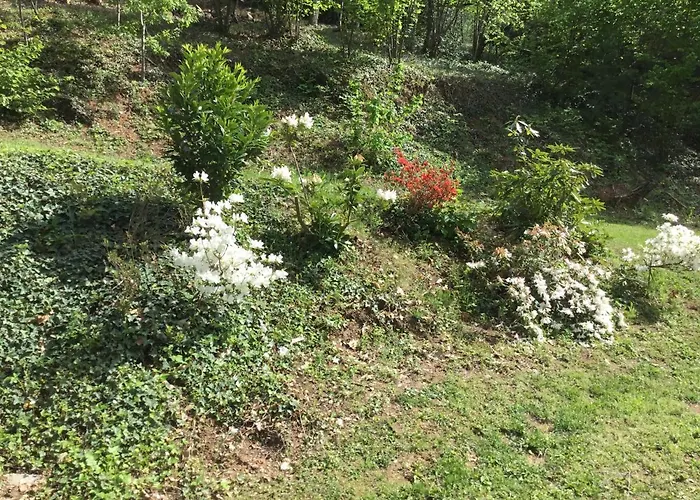 Il Castello Del Ghiro Bed & Breakfast Manta