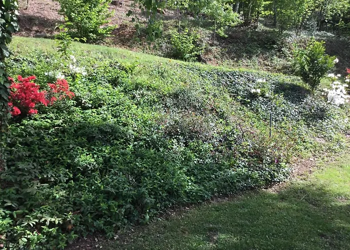 Frühstückspension Il Castello Del Ghiro 3*