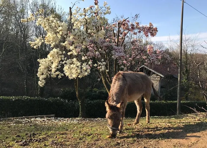 Il Castello Del Ghiro Bed & Breakfast